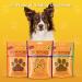 Pet Munchies Chicken Twists Dog Treats - Grain Free Dental Sticks - Real Meat - Low Fat High Protein - 80g - Buy Online on GoSupps.com