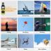 High Accuracy Surlaba Digital Wind Meter - XF-881M Cup Anemometer for Sailing Surfing & Drones | Max/Average Wind Speed & Temperature Measurement - Buy Online on GoSupps.com