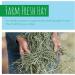 Timothy Rabbit Hay - Fresh Feeding Hay for Rabbits & Guinea Pigs Green Dust-Free Long-Stem Sun-Dried Feeding Hay 100% Natural Food (500 Gram) 500.00 g (Pack of 1) - Buy Online on GoSupps.com