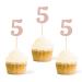 Gexolenu 24 PCS Rose Gold Double-Sided 5th Birthday Cupcake Toppers Glitter Age Five Cake Picks Decor Fifth Happy Birthday Party Decorations Baby Shower Anniversary Party Supplies Number 5 Rosegold