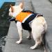 Rantow Dog Life Jacket with Superior Buoyancy & Rescue Handle - High Visibility Float Coat Dog Lifesaver Vest in Beach Pool Boating Safety Swimsuit Preserver (M Orange) M Orange - Buy Online on GoSupps.com