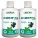 Liquid Chlorophyll Mint Cold Extracted from Non-GMO Alfalfa - Detox - Alkaline - Natural Body Deodorant Antioxidant - Made in Canada (Pack of 2) 500 ml (Pack of 2)