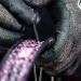 Muc-Off Ultimate Tubeless Setup Kit - Tubeless Conversion Kit for DH/Trail/Enduro Bikes - Buy Online on GoSupps.com