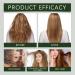 Rosemary Oil For Hair & Skin Treat Dry Damaged Hair To Target Hair Loss 100 Ml Gentle Hair Growth Oil For Hair And Scalp Effective Hair Nourishing Oil For All Hair Types - Buy Online on GoSupps.com