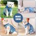 Lianzimau Katzenbody Medical Cat Suit for Post-Op Recovery | Blue Anti-Losing Body for Cats | Comfortable & Safe Clothing for Cats After Surgery - Buy Online on GoSupps.com