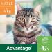 Elanco Advantage Spot-on 40 for Small Cats & Rabbits - Flea Protection 4 Pipettes Easy Application - Buy Online on GoSupps.com