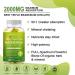 Magnesium L-Threonate Gummies 1000mg with Glycinate 500mg Citrate 500mg - Sugar Free & High Absorption Formula with Vitamin D, K2, B6, Potassium - 60 Gummies - Buy Online on GoSupps.com