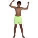 Speedo Boys Essential 13 Swim Trunks - M Zest Green | Best International Shipping - Buy Online on GoSupps.com