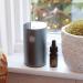 Buy Labs Protect 100% Organic Essential Oils Blend - Basil & Sweet Orange for Scent Diffusers (10 ml - Buy Online on GoSupps.com
