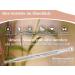 Set of 4 Acupressure Massage Pens - Acupuncture Scar Stick - 1/2mm 3/7mm 5/8mm 6/9mm | International Shipping - Buy Online on GoSupps.com