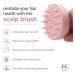 Fabcare Scalp Massage Brush for Hair Growth | Eco-Friendly Wheat Straw & Silicone | Scalp Peeling for All Hair Types | Boost Blood Circulation & Treat Dry Scalp - Buy Online on GoSupps.com