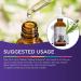 Dr. Garber's Natural Solutions Joint Health Drops | Gemmotherapy Liquid Supplement for Joint Support Repair & Flexibility - 60ml - Buy Online on GoSupps.com
