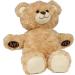 HealthPozitive MediTeddi Electronic Medication Reminder | Electronic Pill Reminder Medication Coach | Talking Health Care Health Monitor Teddy Bear Device | Performance Tracker for Adults and Kids