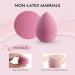 Spotential 8 PCS Makeup Sponge Set with Holder Case - Latex-Free Beauty Blender for Dry & Wet Use - Pink Makeup Puff Kit in Gift Box - Buy Online on GoSupps.com