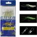 Skipaelf Luminous Sabiki Rig Set - 20 Pack | Surf Fishing Bait Rigs with Sharp Hooks and Shrimp Lure - Buy Online on GoSupps.com