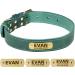Tagme Personalized Leather Dog Collar - Engraved Name & Phone All Sizes (41-55cm) - Green - Buy Online on GoSupps.com
