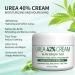 Urea Foot Cream - Urea 42% Foot Cream - Foot Cream for Cracked Heels and Dry Skin - Cracked Heel Repair Cream - Foot Moisturiser Callus Remover Nourishes Soften for Feet Knees Hand - Buy Online on GoSupps.com