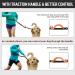 Unipampa Jogging Dog Leash - Hands-Free Reflective Double Handle - Perfect for Small & Medium Dogs - 120-170 cm - Orange - Buy Online on GoSupps.com