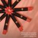 CoralBeau 12-Piece Matte Lipstick Set - Waterproof Crayon Pack with Nude Pink, Mauve & Red Shades - Long-Wearing Formula for Rich Color & Velvety Finish - Buy Online on GoSupps.com