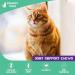 SWAGGY TAILS Glucosamine for Cats - Joint Inflammation Supplement with MSM, Chondroitin & Antioxidants | Premium Arthritis Pet Supplements (90 Chews) - Buy Online on GoSupps.com