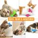 Katzox Premium Katzenkissen 2020 | Bite & Scratch-Resistant Cat Pillows | Cat Mint Cat Accessories | International Shipping Available - Buy Online on GoSupps.com
