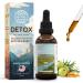HerbEra Connecticut Herbal Detox Blend - USDA Organic Extract Made in USA | Immune & Liver Support Liquid Drops | Amla Dandelion Root Milk Thistle Chaparral Cordyceps | 2 fl oz