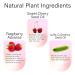 New Formula Lip Glow Oil - Plumping & Moisturizing Lip Care Gloss for Nourished Pink Lips - Buy Online on GoSupps.com