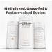 Codeage Multi Collagen Protein Powder Peptides 2-Month Supply Hydrolyzed Type I II III V X Grass Fed All in One Super Bone Broth Collagen Supplement Non-GMO 567 Grams - Buy Online on GoSupps.com