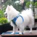 Suredoo Dog Harness for Small Dogs with Leash - Reflective Breathable Anti-Training - Blue Checked (M) | Perfect for Small & Medium Breeds - Buy Online on GoSupps.com