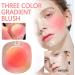 Mineral Blush Matte Powder Shimmering Face Blush Makeup Revolution Contour & Highlight Blush Palette Blusher Reloaded Blush Peaches & Cream (Pink Peach Yogurt m) - Buy Online on GoSupps.com