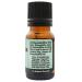 Plantlife Clary Sage Aromatherapy Essential Oil - Straight from The Plant 100% Pure Therapeutic Grade - No Additives or Fillers - 10 ml - Buy Online on GoSupps.com