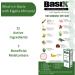 Basix Skin Defence Repair Cream for Eczema, Psoriasis & Dermatitis - Natural Ingredients for Dry, Itchy Skin - Kigelia, Lemon, Ginger, Rosemary & Vitamin E - Buy Online on GoSupps.com