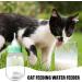 KARBAG Kitten Bottle 120 ml Pet Bottle with Silicone Nipple and Transparent Scale Mini Teat Bottle for Newborn Kittens Puppies Rabbits Small Animals Green - Buy Online on GoSupps.com