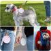 Fidwall Silicone Dog Treat Bag - 2 Pieces Sky Blue & Gray/Violet Pocket Size Easy to Clean Odorless Zipper Design - Perfect for Training & Accessories - Buy Online on GoSupps.com