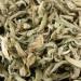 HQZM Premium Yunnan PreChingming Single Bud Xuelongthee nr 2 Yunnan Green Losse Tea 500 g 1763oz - Buy Online on GoSupps.com