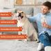 Dog toothpaste and Toothbrush Cat Toothbrushs Finger Toothbrushs 3pcs Pet Dental Care Set with Beef Flavor Dog Teeth Cleaning Dog Tartar Remover Fresh Breath Reduce Plaque - Buy Online on GoSupps.com