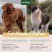 Buy Aniforte American Elm Bark Powder for Dogs and Cats - 250g | Natural Support for Intestinal Flora & Gastrointestinal Health - Buy Online on GoSupps.com