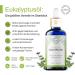 Lebbio 100% Pure Eucalyptus Oil 50ml | Natural Essential Oil for Aromatherapy Diffusing & Freshness - Buy Online on GoSupps.com
