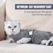 Katzenbody After Op - Medical Clothing for Cats | Anti-Trimming Recovery Apparel for Abdominal Wounds & Skin Diseases (Large) - Buy Online on GoSupps.com