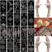 Xmasir 20 Sheets Henna Tattoo Stencil Kit  3.74 x 7.28 Temporary Tattoo Templates Indian Arabian Self Adhesive Tattoo Sticker for Face Body Art Paint