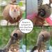 SunGrow Coconut Bird House with Ladder - Mini Avian Condo with Hanging Loop - Buy Online on GoSupps.com
