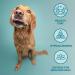 Burns Pet Natural Nutrition Adult & Senior Wet Dog Food Wild Fish Carrots & Organic Brown Rice 6 x 395gm 395 g (Pack of 6) - Buy Online on GoSupps.com