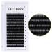 9mm D Curl Individual Eyelash Extensions - 0.07mm Single Eyelashes | Gemerry - Buy Online on GoSupps.com