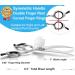 Buy Purplebird 6.5-Inch Curved Fur Scissors | Japanese Stainless Steel for Dogs & Cats | Ideal Grooming Tool | International Shipping - Buy Online on GoSupps.com