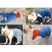 Teilybao Pet Denim Jumpsuit Costume | Fashionable Blue Jean Jacket Sling for Small to X-Large Dogs & Cats - Buy Online on GoSupps.com
