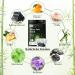 Detox Foot Pads - 100% Natural Detoxification Plaster for Deep Sleep & Stress Relief | 10 Pieces - Buy Online on GoSupps.com