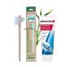 Wellsamed savings set with denture toothbrush and blend-a-dent Hygienic special toothpaste denture brush for third teeth (bamboo)