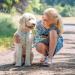 Nobby Leash Soft Grip - Orange 200 cm | Durable 15 mm Dog Leash for All Breeds | International Shipping Available - Buy Online on GoSupps.com
