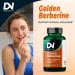 Divinity Nutra Golden Berberine Supplement with Ceylon Cinnamon Bitter Melon Ginkgo Biloba Made in USA 6 Bottles 60 Capsules Each - Buy Online on GoSupps.com