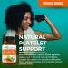 Papaya Leaf Extract Capsules 10X Strength - 60/600mg Veg Capsules- Blood Platelet Bone Marrow & Spleen Support Immune Gut & Super Digestive Health - Herbal Goodness (Pack of 6) 10 Count (Pack of 6) - Buy Online on GoSupps.com